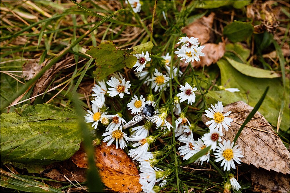 flowers-rings.jpg